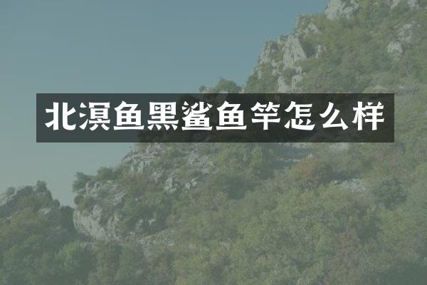 北溟鱼黑鲨鱼竿怎么样