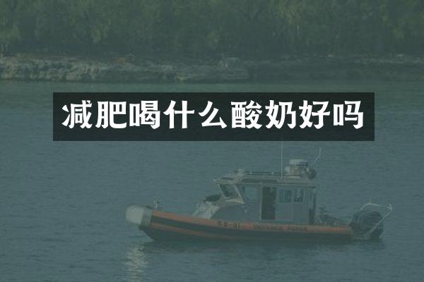 减肥喝什么酸奶好吗