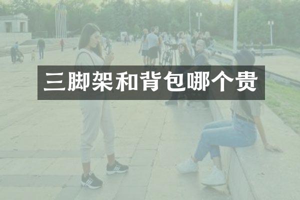 三脚架和背包哪个贵
