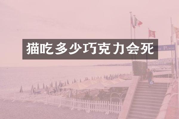 猫吃多少巧克力会死