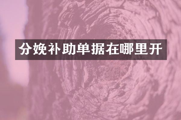 分娩补助单据在哪里开