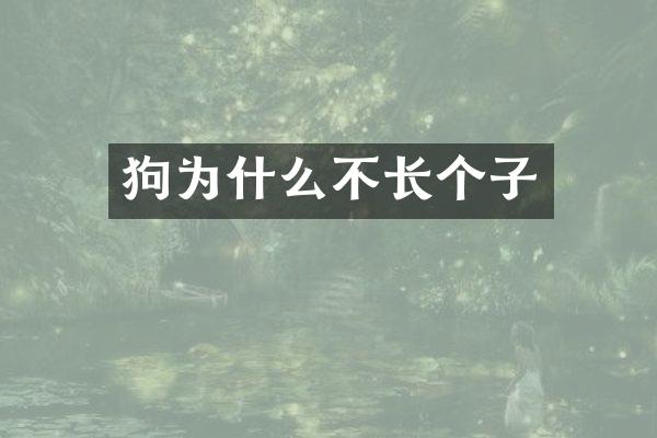 狗为什么不长个子