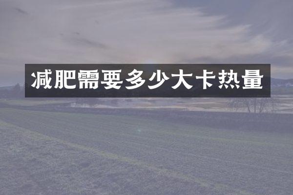 减肥需要多少大卡热量