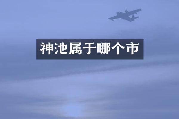 神池属于哪个市