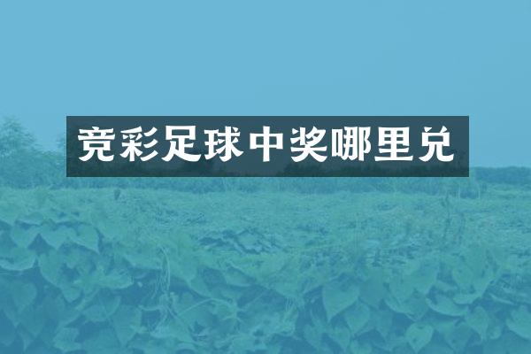 竞彩足球中奖哪里兑