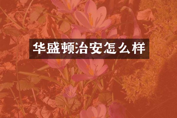 华盛顿治安怎么样