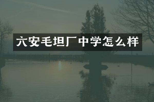 六安毛坦厂中学怎么样