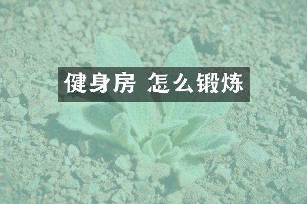 健身房 怎么锻炼