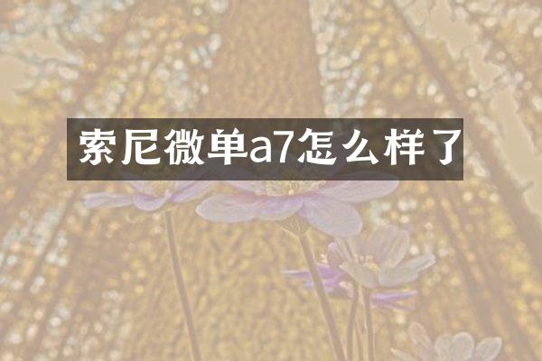 索尼微单a7怎么样了