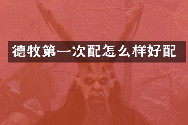 德牧第一次配怎么样好配