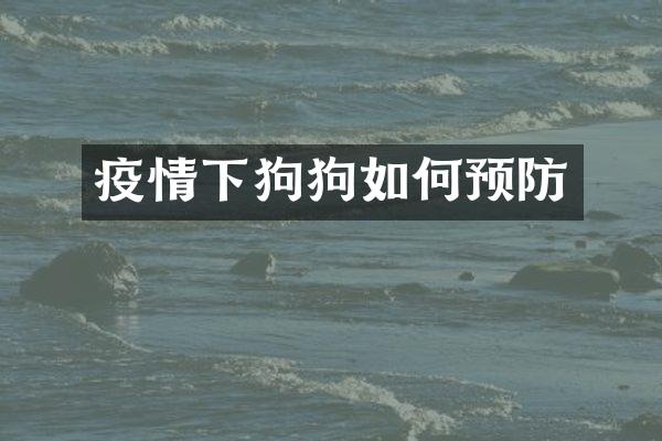 疫情下狗狗如何预防