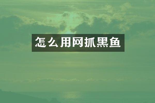 怎么用网抓黑鱼