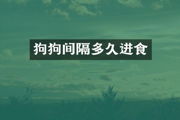 狗狗间隔多久进食