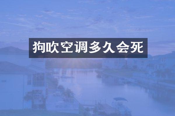 狗吹空调多久会死