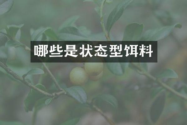 哪些是状态型饵料
