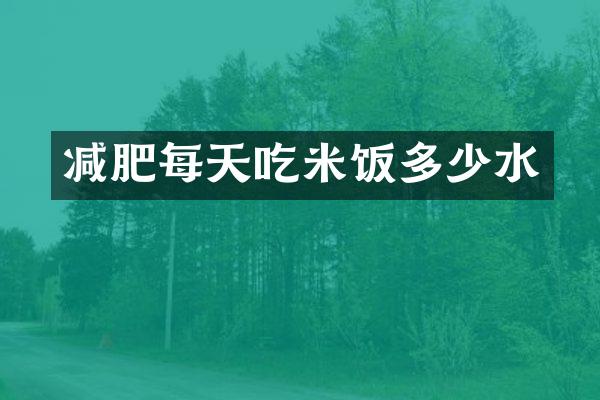 减肥每天吃米饭多少水