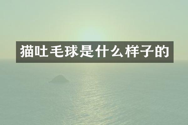 猫吐毛球是什么样子的