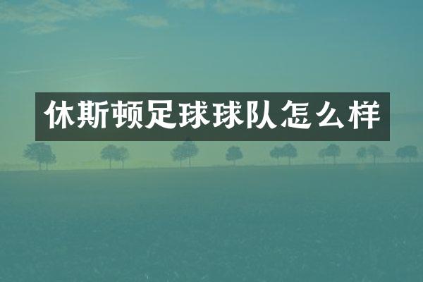 休斯顿足球球队怎么样