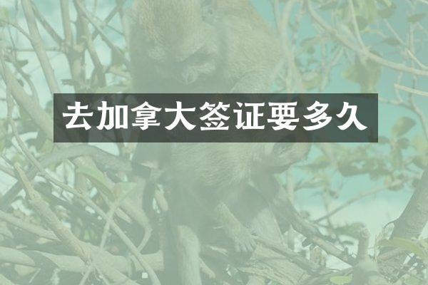 去加拿大签证要多久