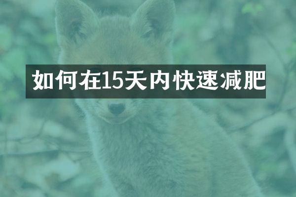 如何在15天内快速减肥