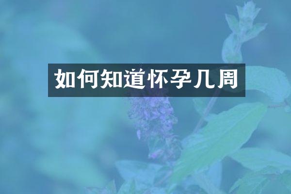 如何知道怀孕几周