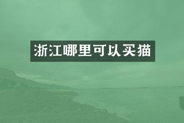 浙江哪里可以买猫