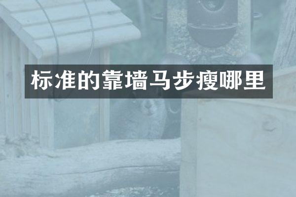 标准的靠墙马步瘦哪里