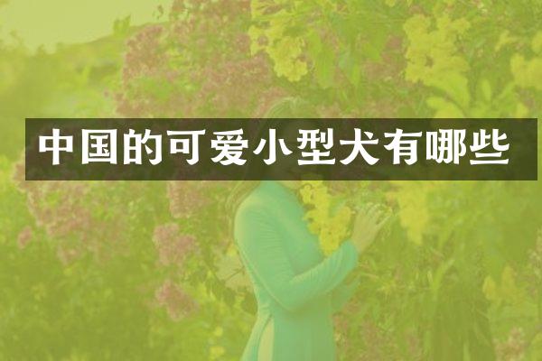 中国的可爱小型犬有哪些