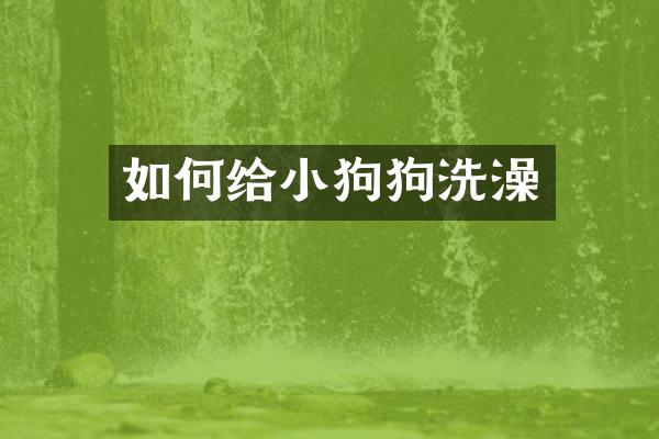 如何给小狗狗洗澡