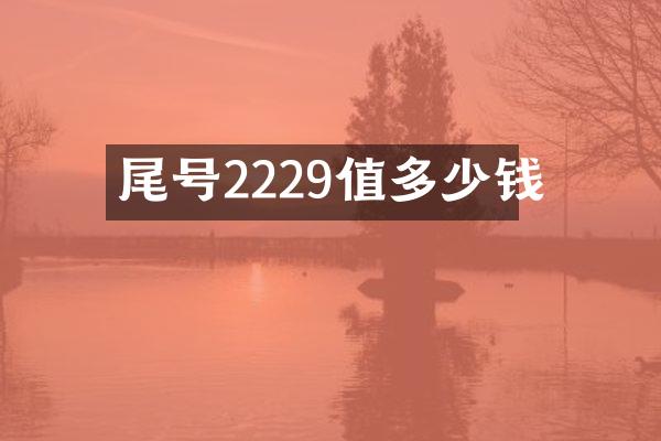 尾号2229值多少钱