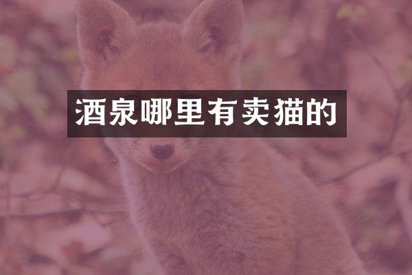 酒泉哪里有卖猫的