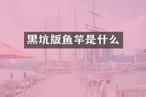 黑坑版鱼竿是什么
