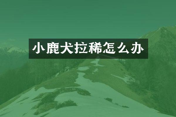 小鹿犬拉稀怎么办