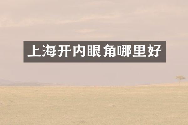 上海开内眼角哪里好