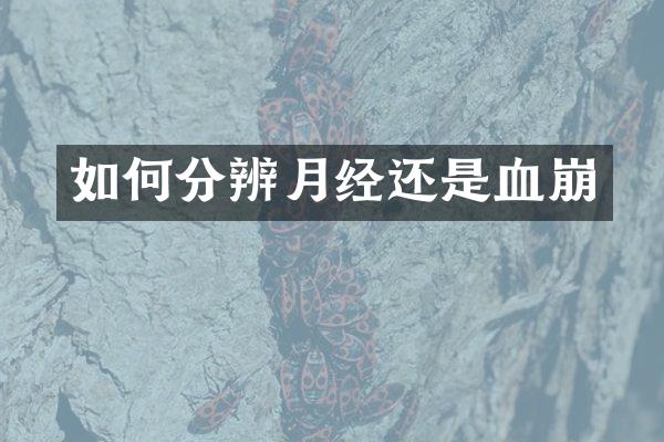 如何分辨月经还是血崩