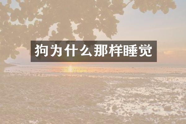 狗为什么那样睡觉