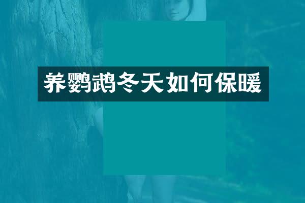 养鹦鹉冬天如何保暖