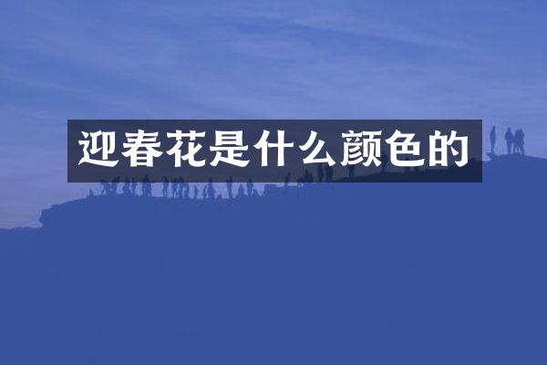 迎春花是什么颜色的