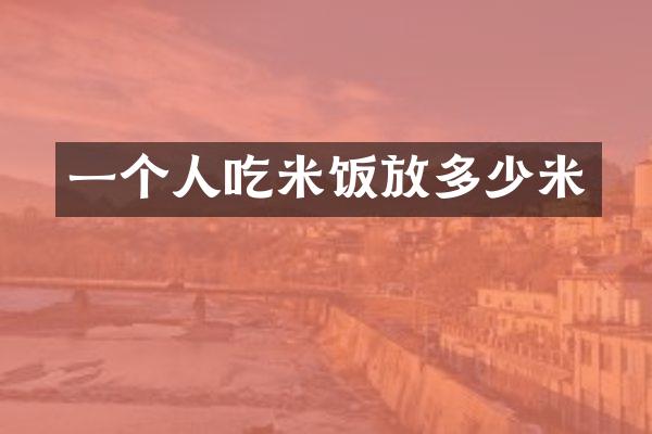 一个人吃米饭放多少米