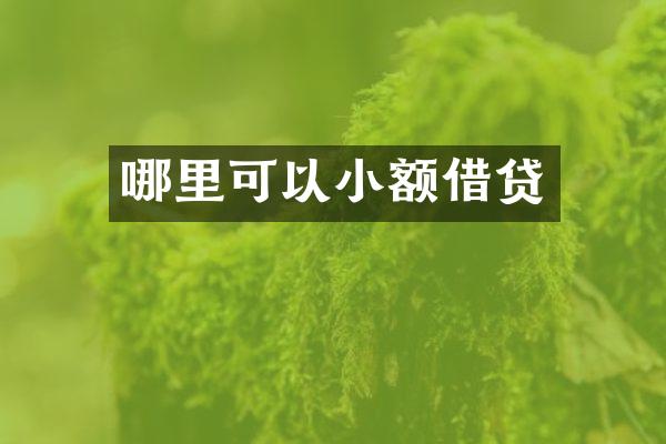 哪里可以小额借贷