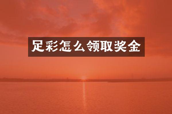 怎么领取奖金