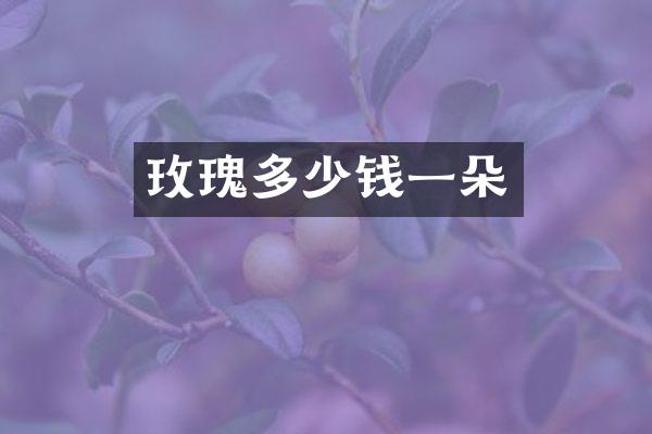 玫瑰多少钱一朵