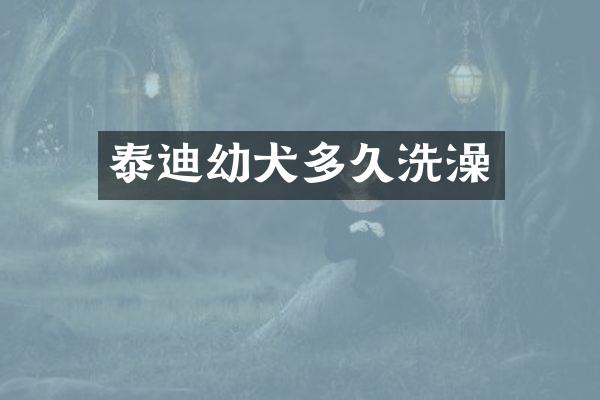 泰迪幼犬多久洗澡
