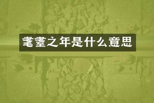 耄耋之年是什么意思
