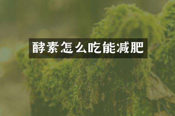 酵素怎么吃能减肥