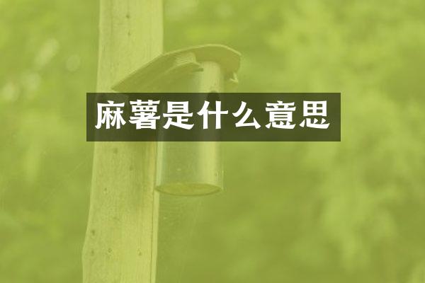 麻薯是什么意思