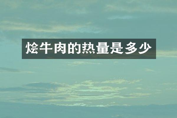 烩牛肉的热量是多少
