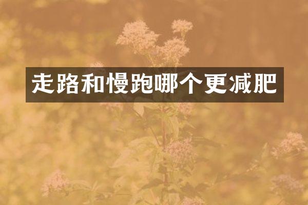 走路和慢跑哪个更减肥