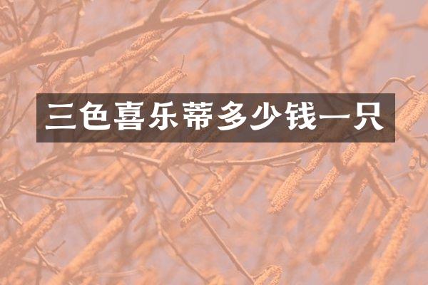 三色喜乐蒂多少钱一只