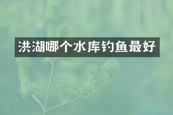 洪湖哪个水库钓鱼最好